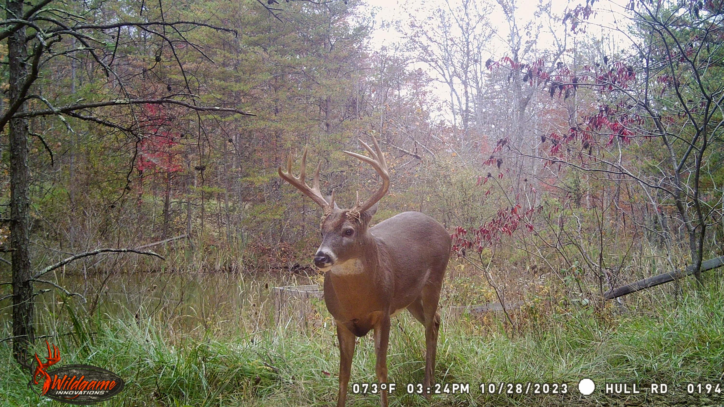 1725 Hull Road, Unit TRACT 4 WOODS WAYNE FOREST) Patriot, OH 45658 - Photo 11 of 45 20231028_192412000_iOS
