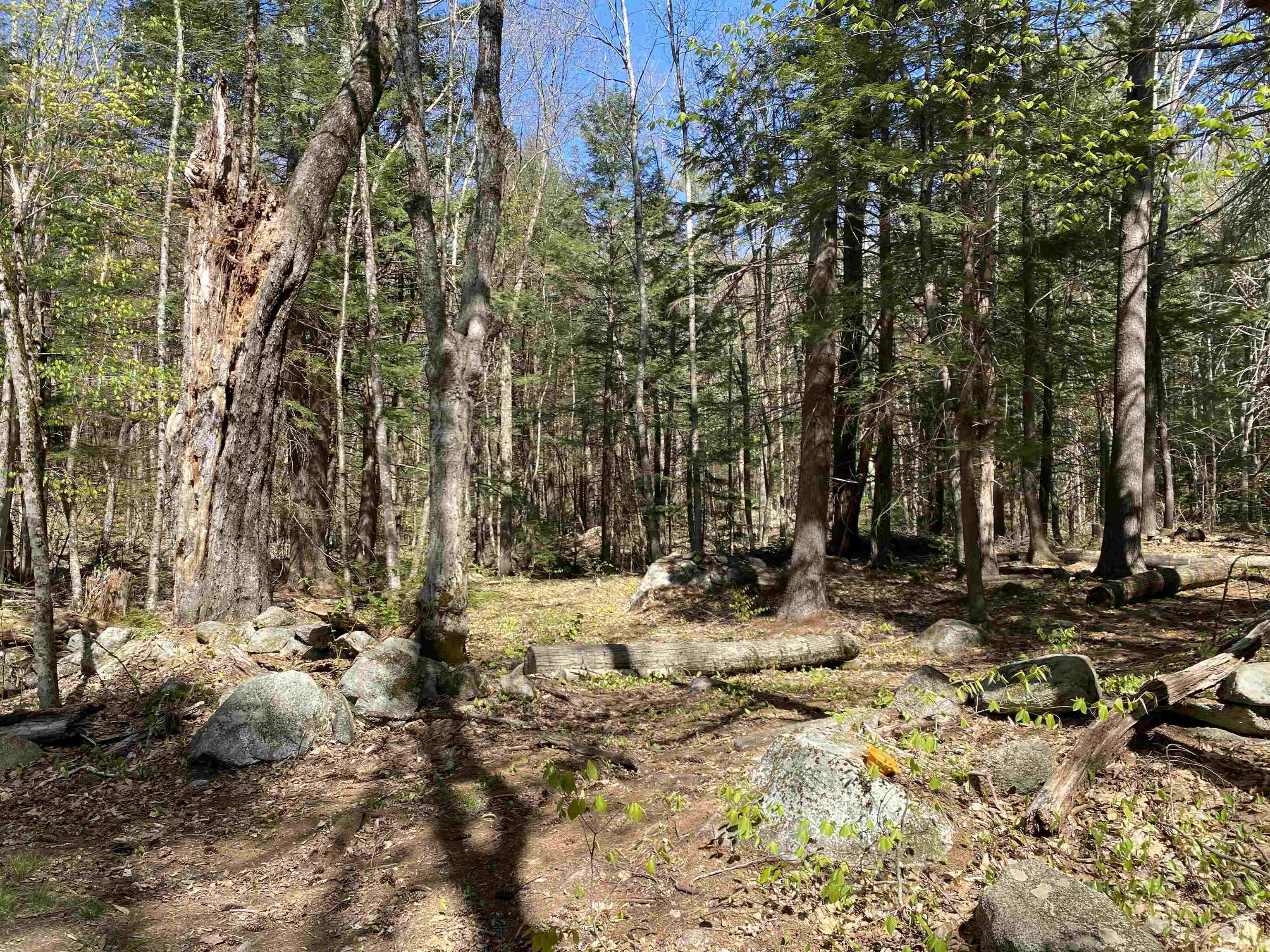 99 Ashley Road Antrim, NH 03440 - Photo 1 of 7 Gallery Image 1