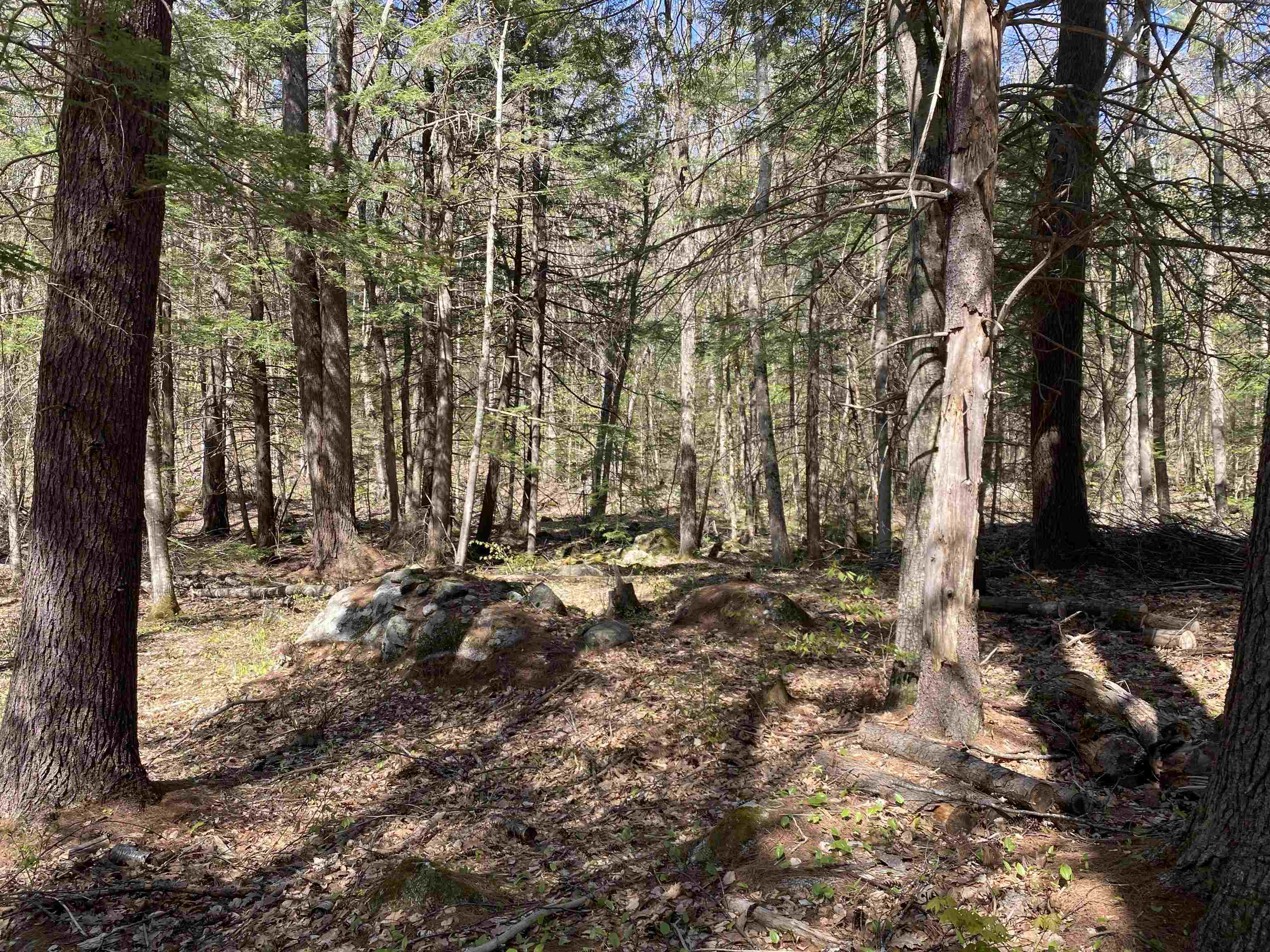 99 Ashley Road Antrim, NH 03440 - Photo 2 of 7 Gallery Image 2