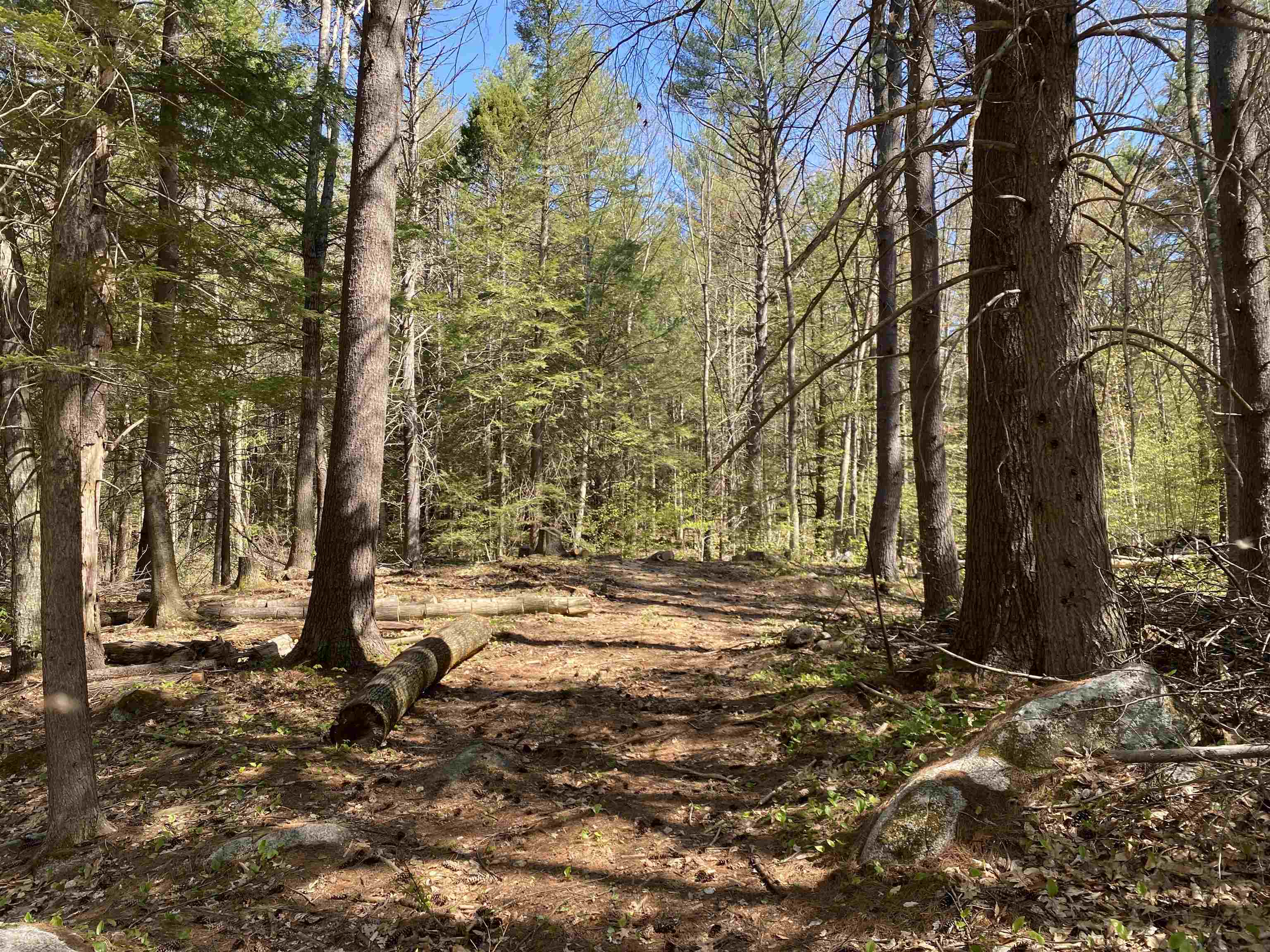 99 Ashley Road Antrim, NH 03440 - Photo 3 of 7 Gallery Image 3