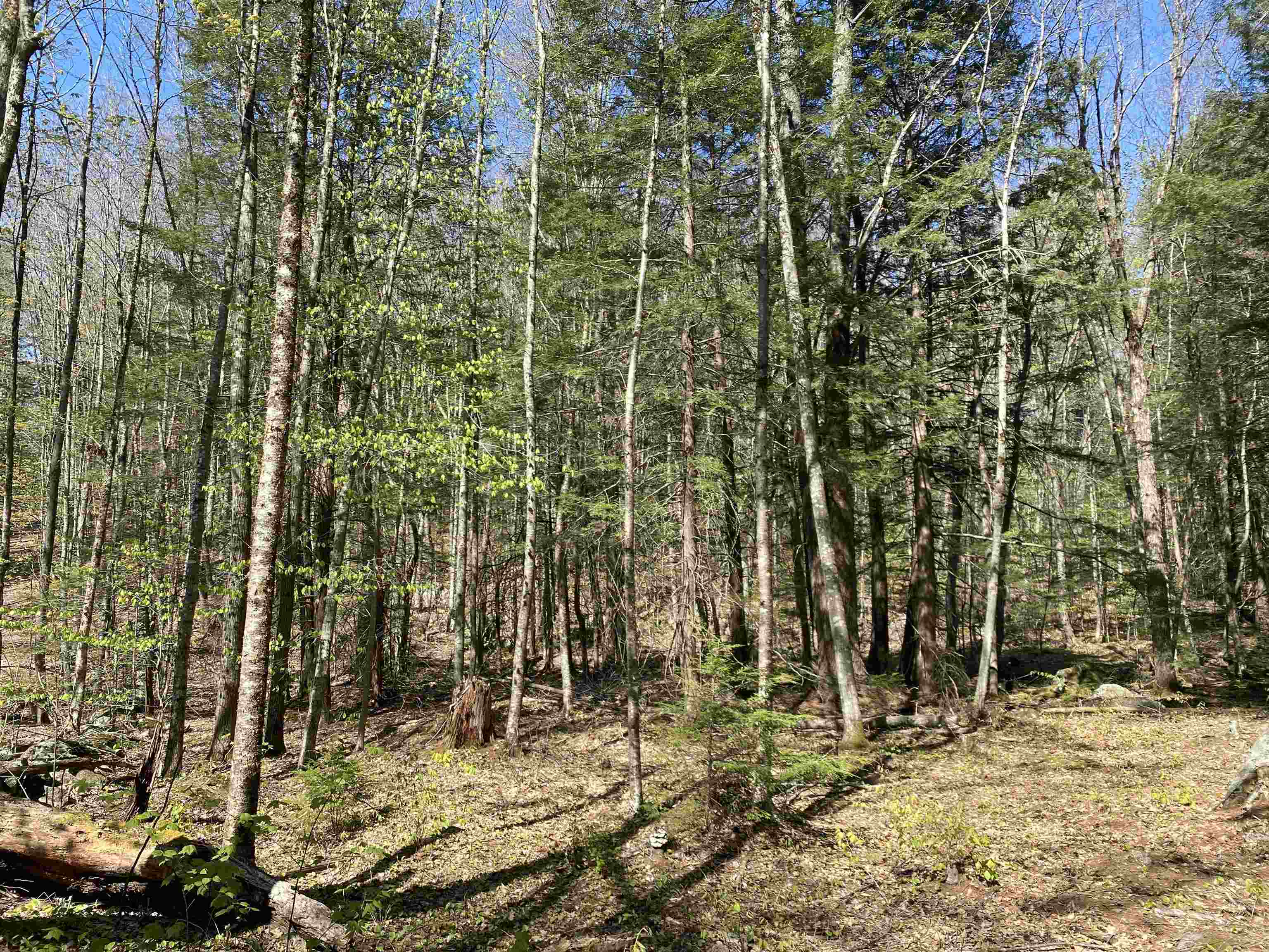 99 Ashley Road Antrim, NH 03440 - Photo 4 of 7 Gallery Image 4