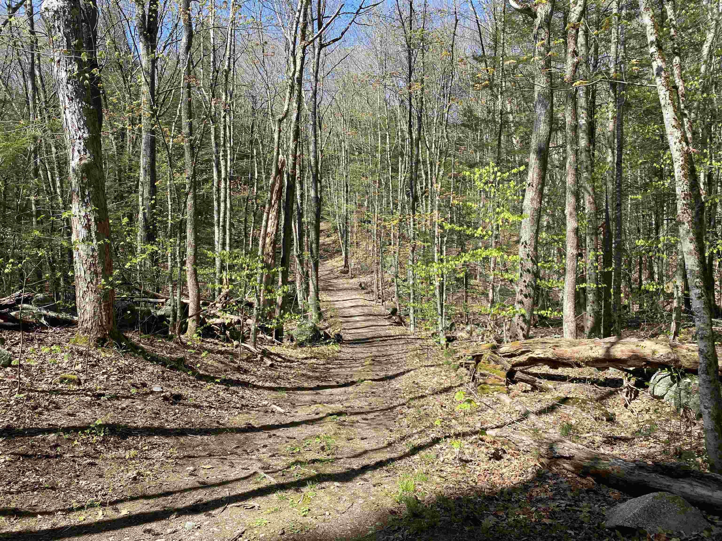 99 Ashley Road Antrim, NH 03440 - Photo 5 of 7 Gallery Image 5