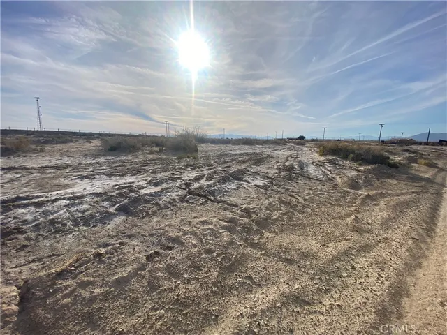 a view of a dry yard