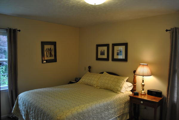 3467 Half Acre Of Rocks Road Elliston, VA 24087 - Photo 19 of 61 a bedroom with a bed and a lamp