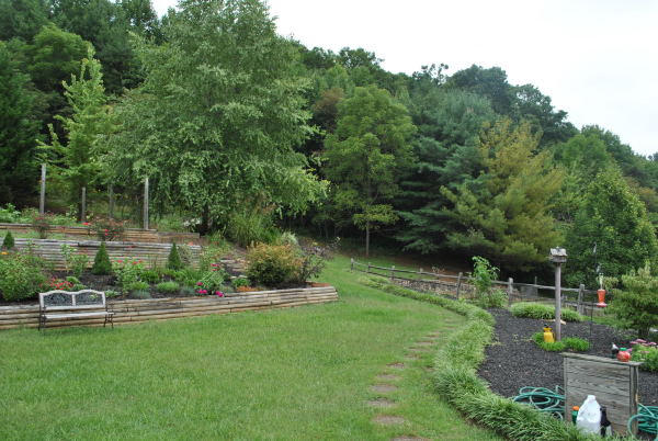 3467 Half Acre Of Rocks Road Elliston, VA 24087 - Photo 52 of 61 a view of a lake with a park