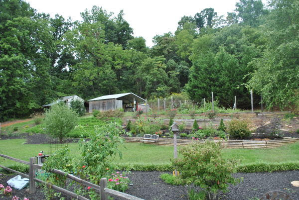 3467 Half Acre Of Rocks Road Elliston, VA 24087 - Photo 53 of 61 a view of a back yard
