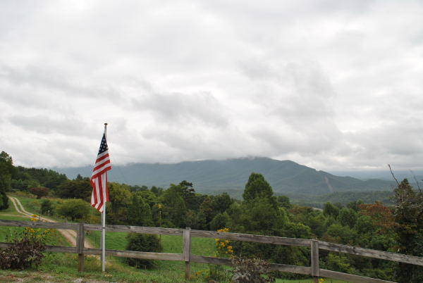 3467 Half Acre Of Rocks Road Elliston, VA 24087 - Photo 55 of 61 a flag is sitting in the middle of a forest