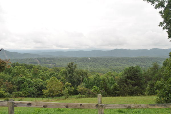 3467 Half Acre Of Rocks Road Elliston, VA 24087 - Photo 57 of 61 a view of a city with lush green forest