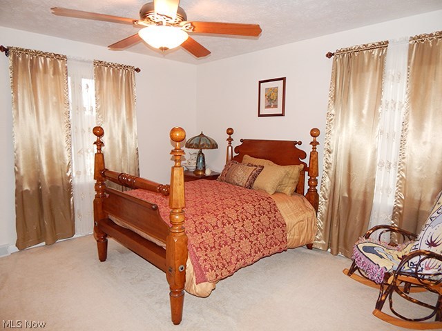 10911 Crawford Road Homerville, OH 44235 - Photo 14 of 24 Gallery Image 14