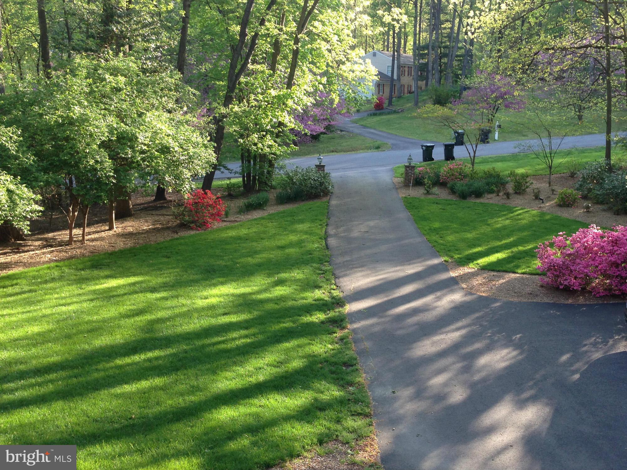10415 Adel Road Oakton, VA 22124 - Photo 28 of 30 Front Yard in Spring