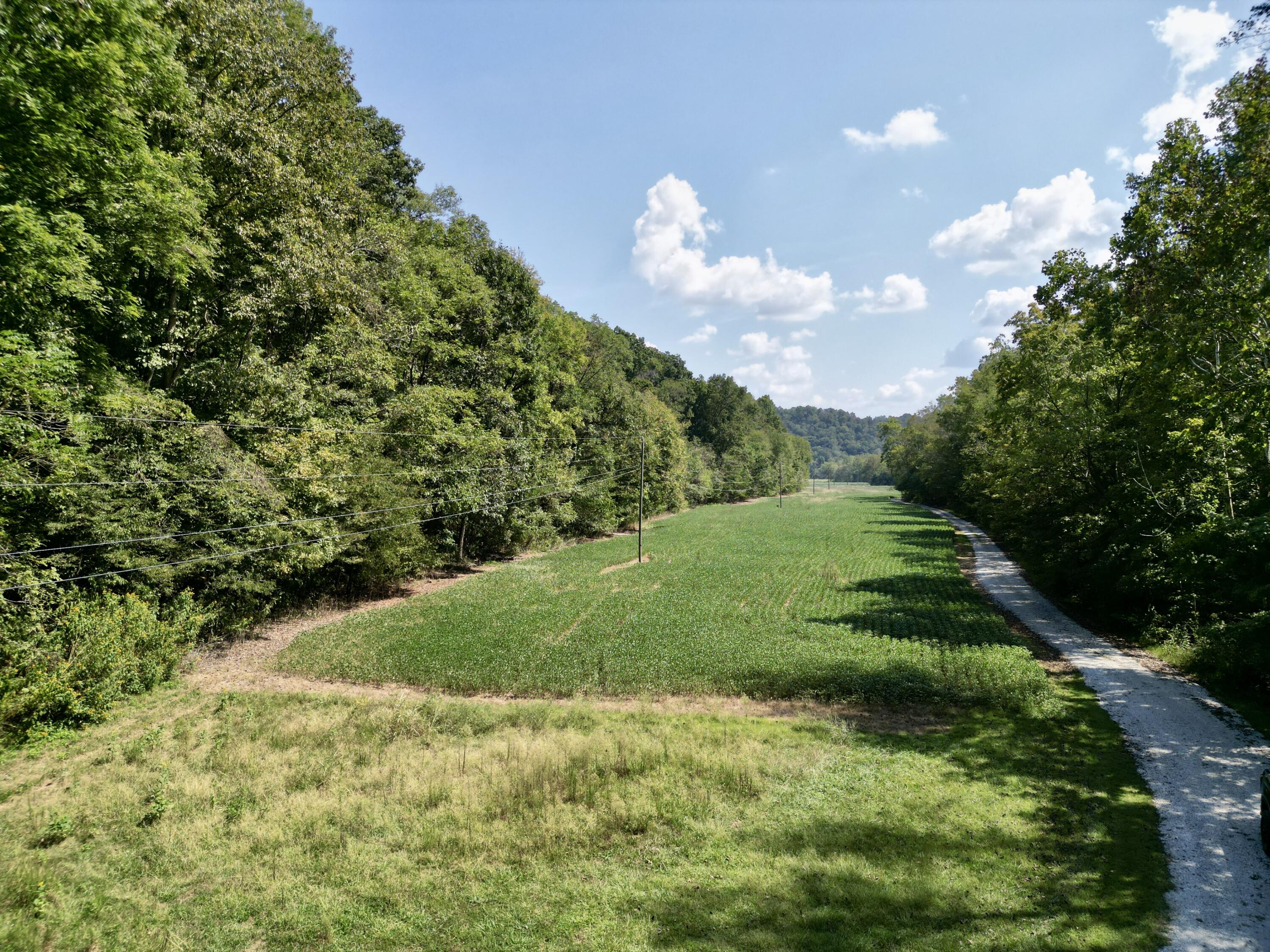 690 Ansel Road Science Hill, KY 42553 - Photo 48 of 78 dji_fly_20260916_111052_751_178958280351