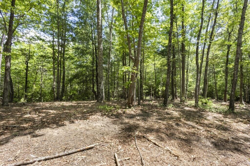 0 Donley Road Murphy, NC 28906 - Photo 4 of 37 Gallery Image 4