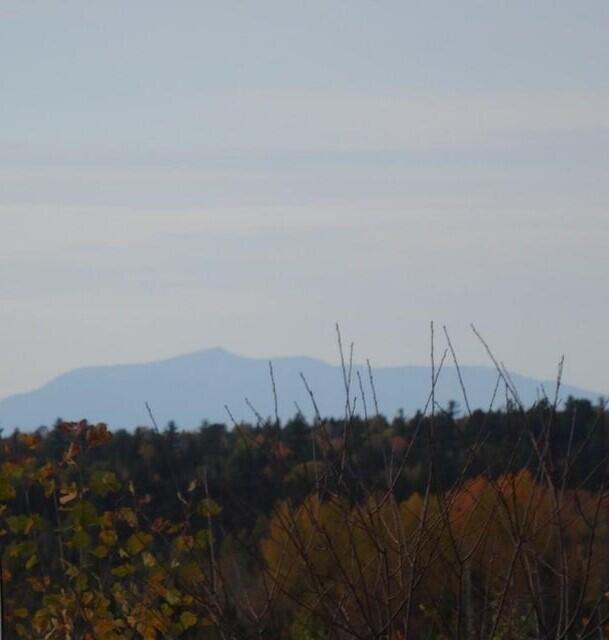 Lot 9 Osgood Road Carroll Plt, ME 04487 - Photo 2 of 2 mountain view