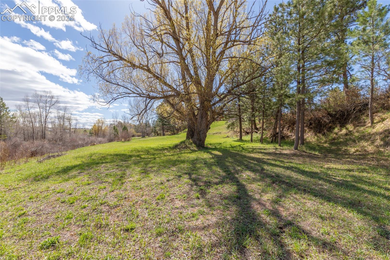 721 Forest View Road Monument, CO 80132 - Photo 23 of 47 2.5 Acres