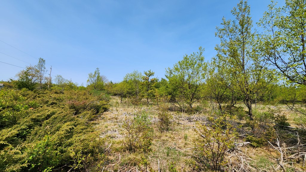 Lot 4 Wandering Down Road Fish Creek, WI 54212 - Photo 6 of 11