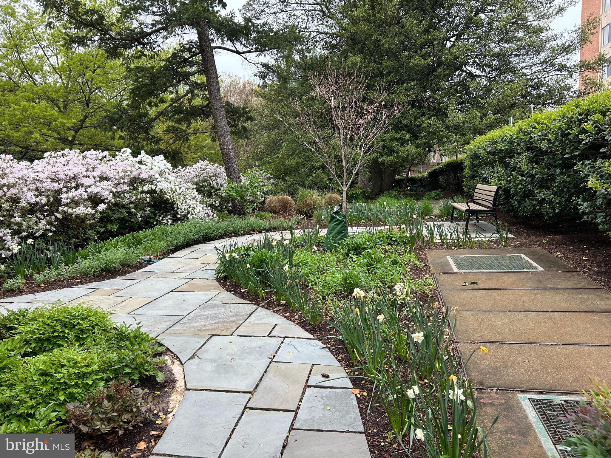 4301 Massachusetts Avenue Northwest, Unit 7001 Washington, DC 20016 - Photo 3 of 14 Front Gardens
