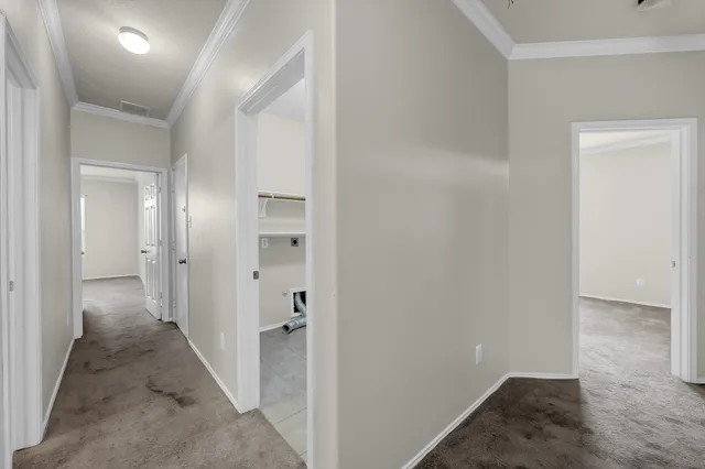 an empty room with windows and ceiling fan