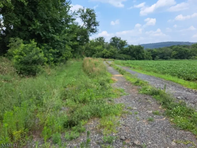 a view of a field with plants and trees