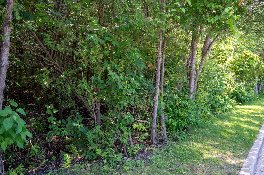 Lot 5 Mill Road Sister Bay, WI 54234 - Photo 8 of 20 Gallery Image 8