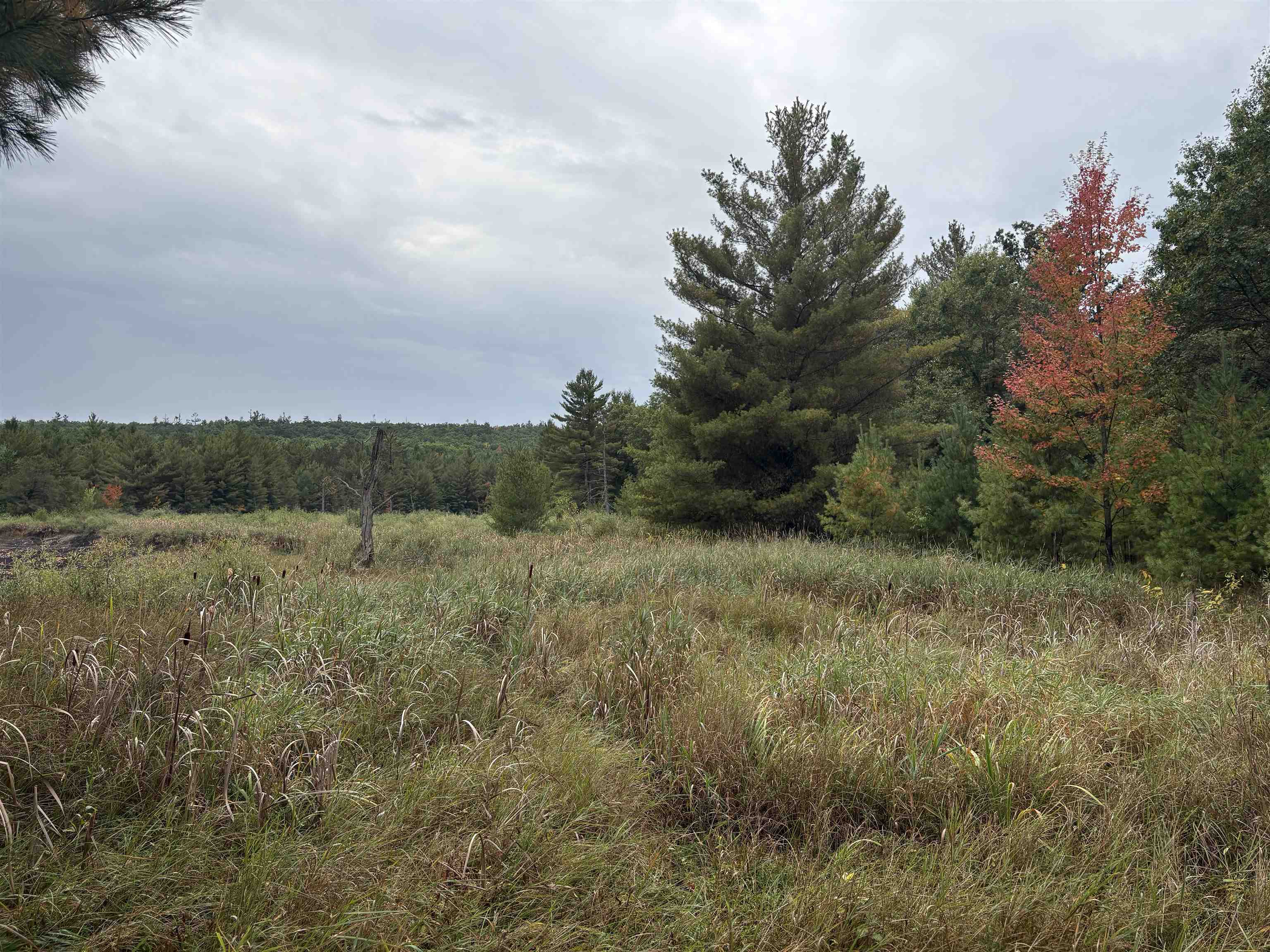 0 Hall Road Roscommon, MI 48653 - Photo 6 of 17