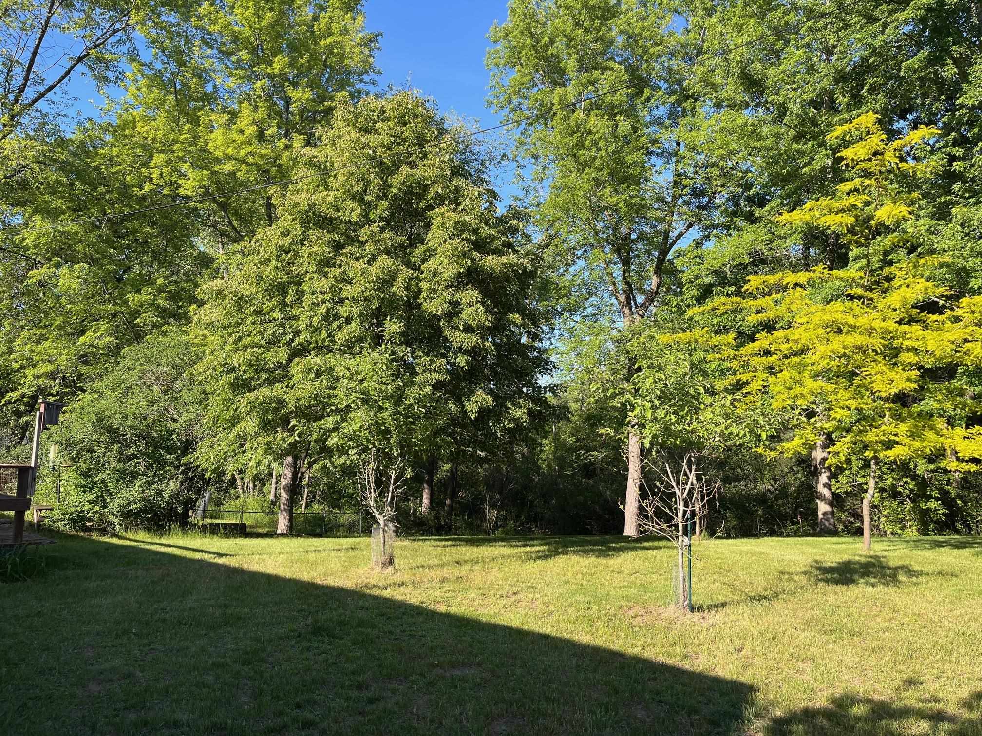 104 North Pierce Street Adams, WI 53910 - Photo 7 of 44