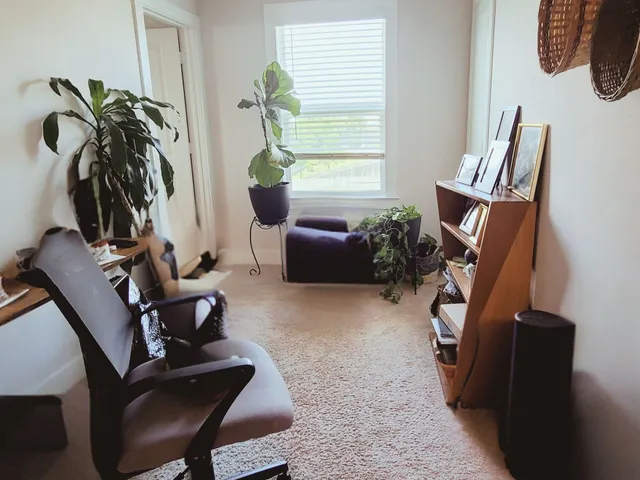 a living room with furniture and a potted plant