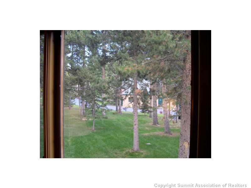 120 Tennis Club Road, Unit 633 Keystone, CO 80435 - Photo 9 of 9 View. Nice private area off the deck