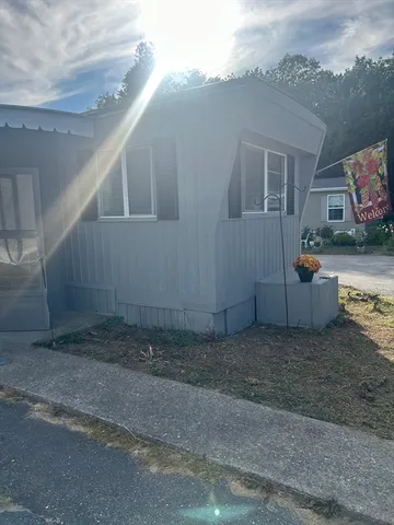 a view of a backyard with plants and large trees