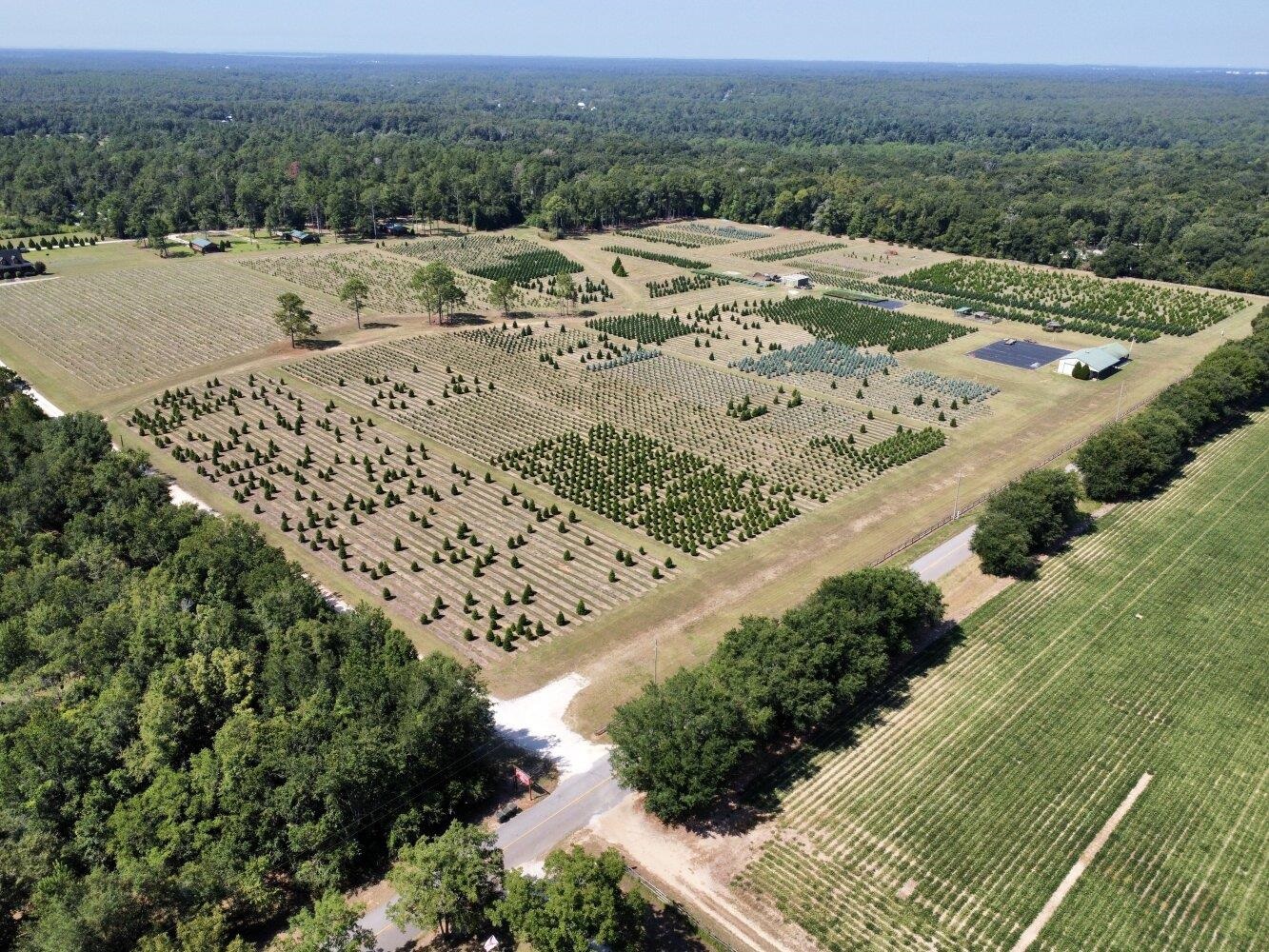 14253 Woodhaven Dairy Road East Summerdale, AL 36580 - Photo 20 of 50