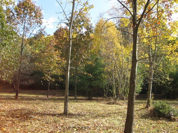 81 Chilson Road Wilbraham, MA 01095 - Photo 11 of 18 Gallery Image 11