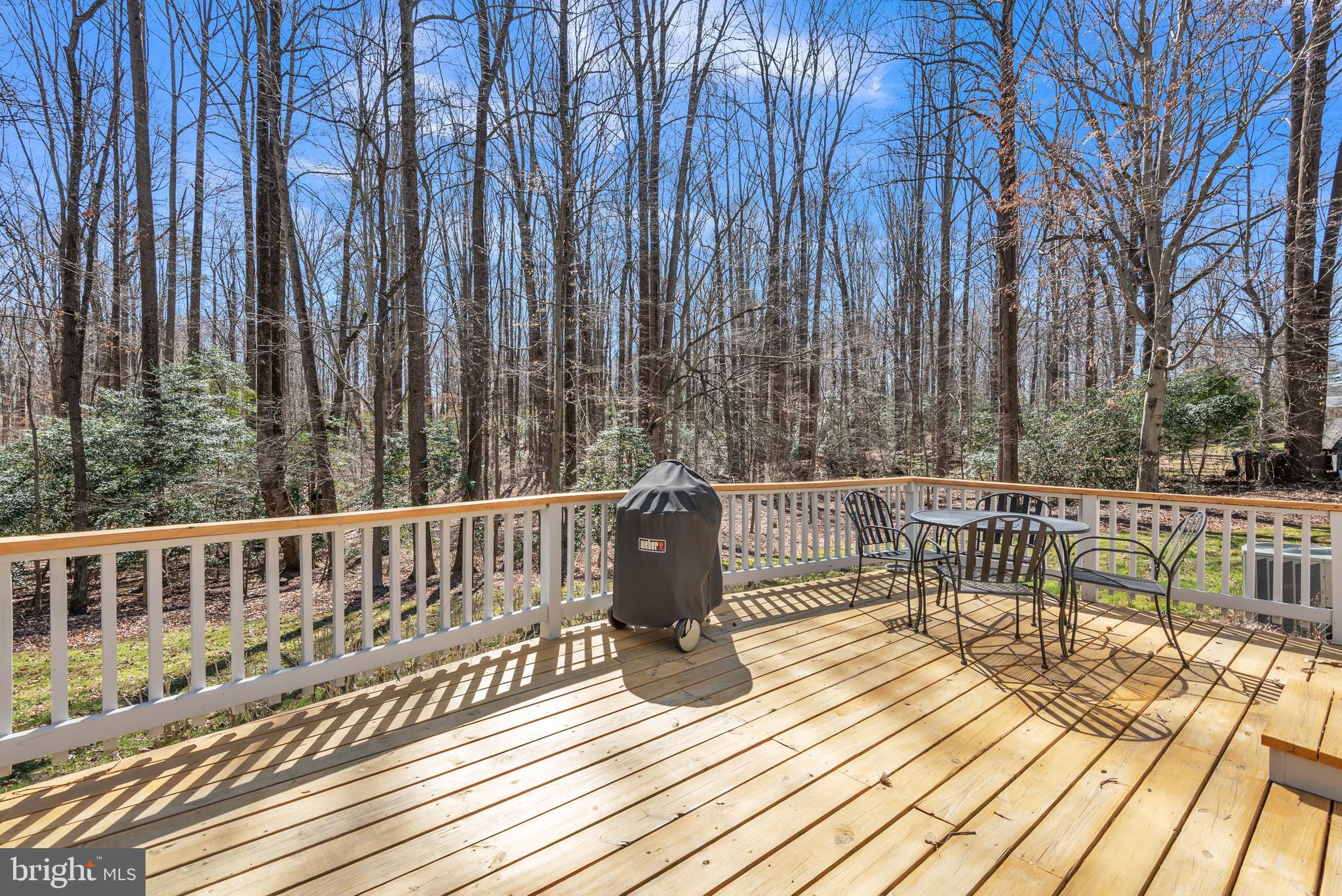 16085 Inheritance Drive Brandywine, MD 20613 - Photo 3 of 29