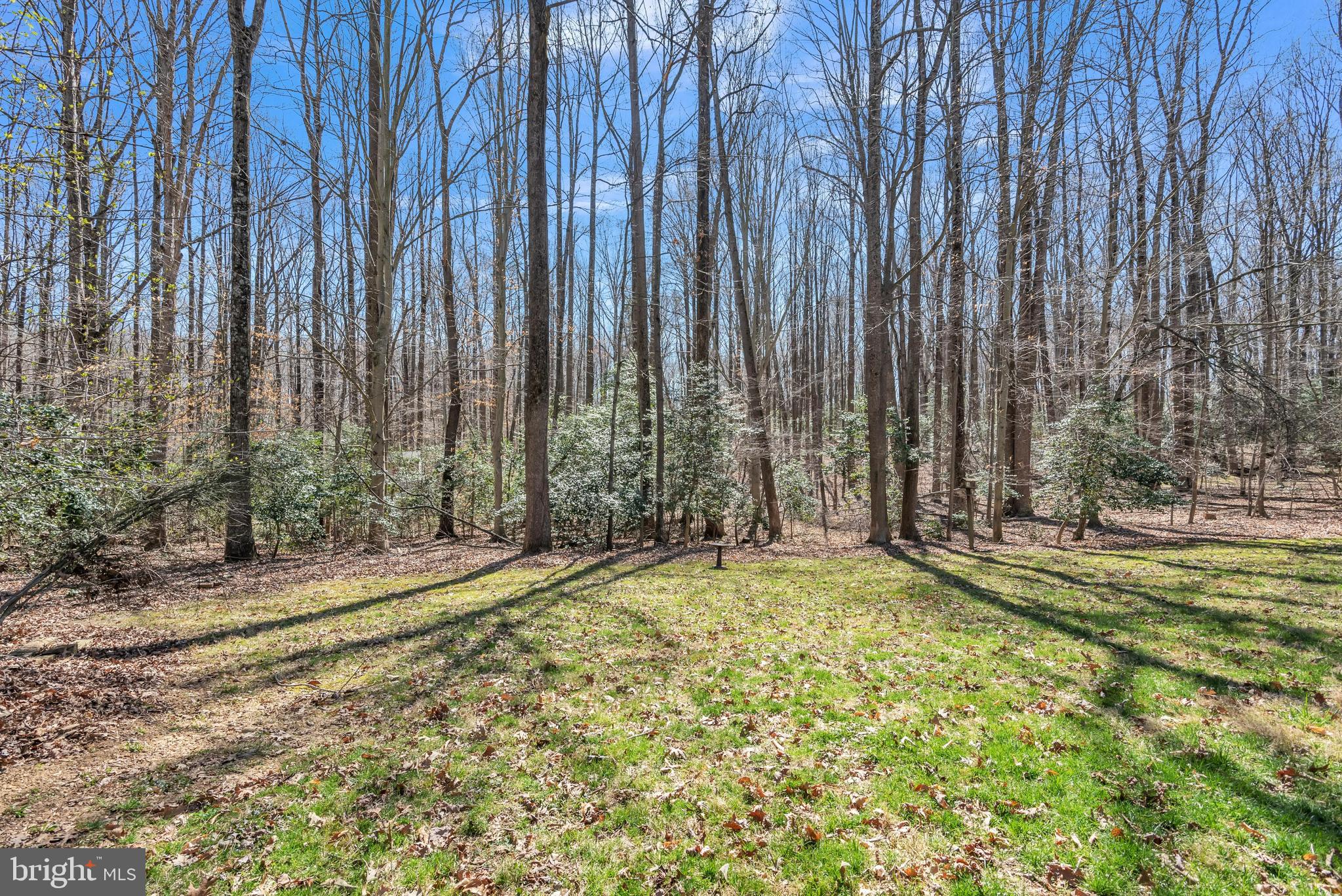 16085 Inheritance Drive Brandywine, MD 20613 - Photo 4 of 29