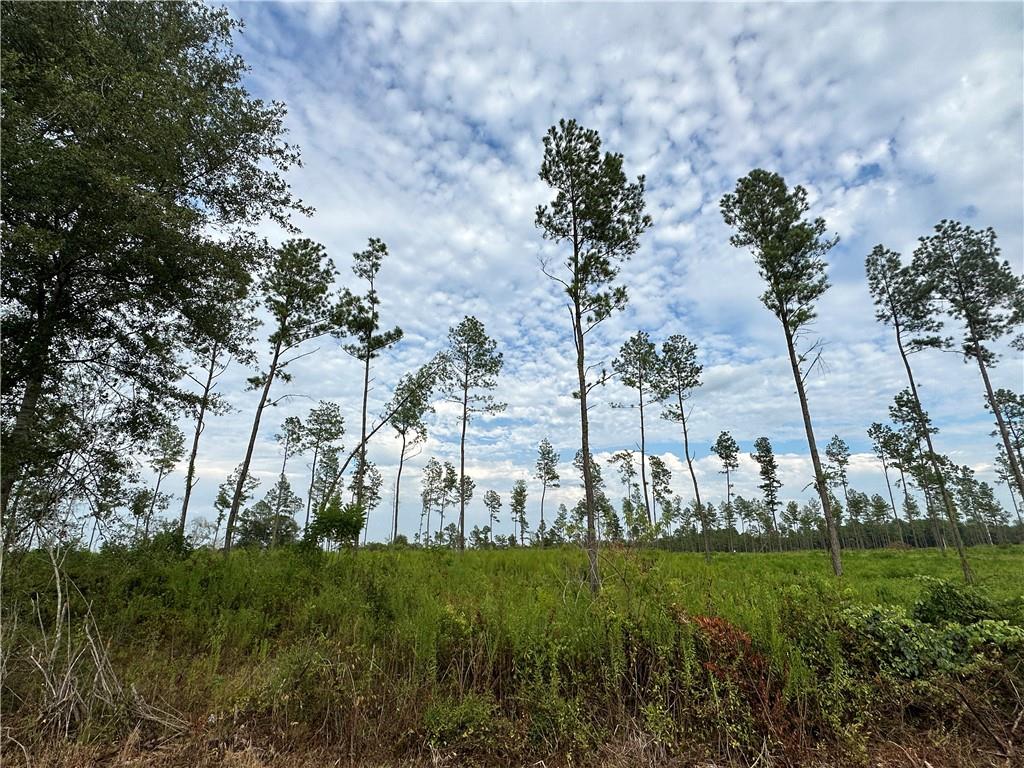 0 J S King Road Franklinton, LA 70438 - Photo 1 of 5 Gallery Image 1