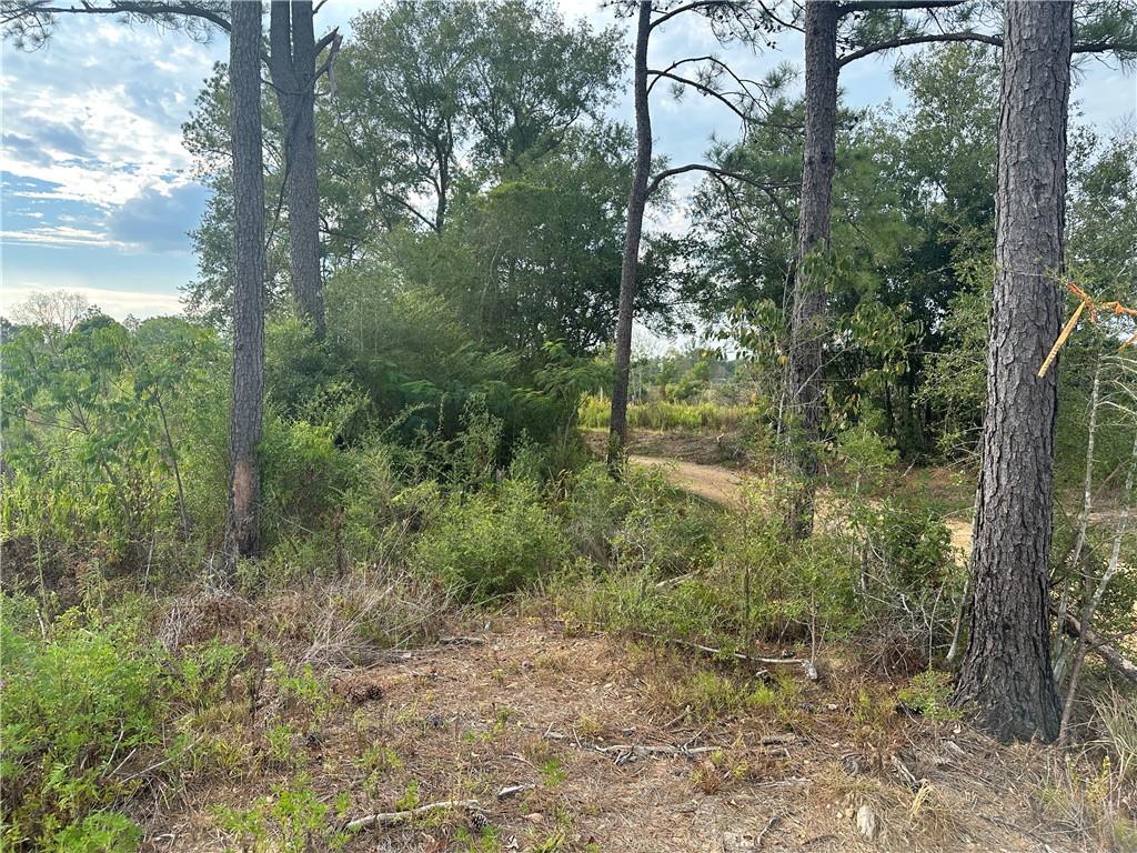 0 J S King Road Franklinton, LA 70438 - Photo 3 of 5 Gallery Image 3