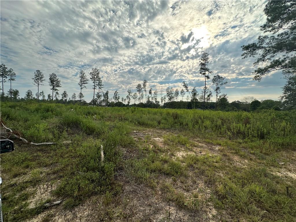 0 J S King Road Franklinton, LA 70438 - Photo 4 of 5 Gallery Image 4