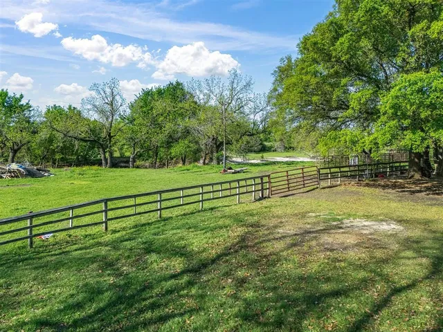 a view of a park with large trees