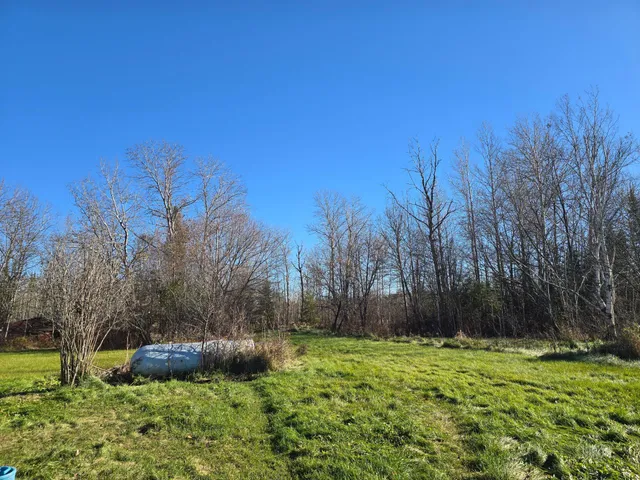 $185,000 | 3111 Highway 332 International Falls, International Falls, MN 56649