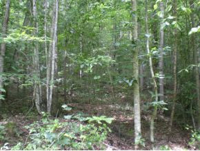 3-4 Steve Brown Road, Unit 3 & 4 Bean Station, TN 37708 - Photo 1 of 10 Photo 1