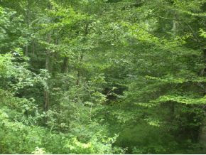 3-4 Steve Brown Road, Unit 3 & 4 Bean Station, TN 37708 - Photo 2 of 10 Photo 2