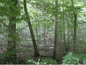 3-4 Steve Brown Road, Unit 3 & 4 Bean Station, TN 37708 - Photo 8 of 10 Photo 8