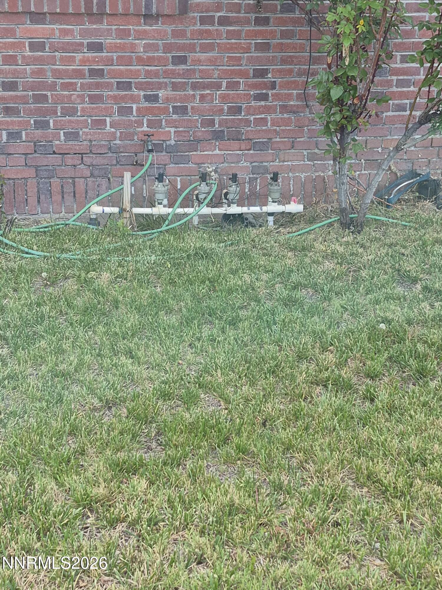 210 South Taylor Street Fallon, NV 89406 - Photo 9 of 38 a view of a backyard with plants and large trees