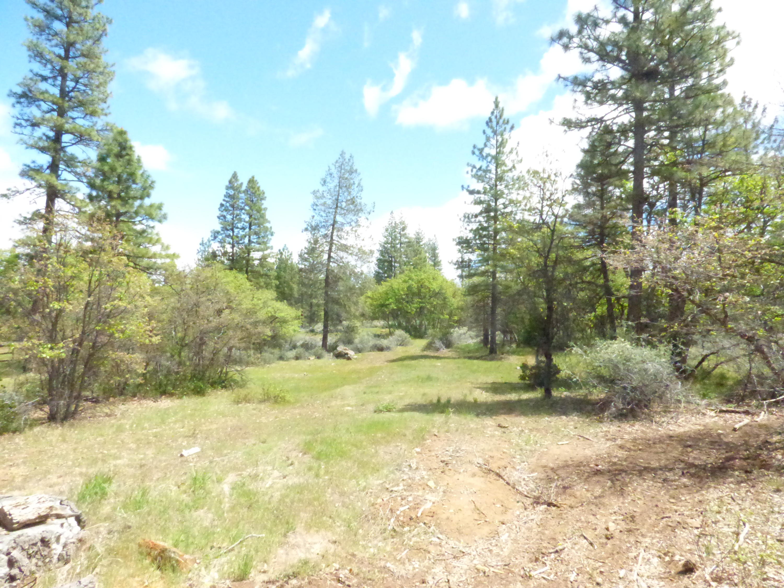 Hawkins Mill Road Fall River Mills, CA 96028 - Photo 11 of 12 a view of a yard with trees in the background