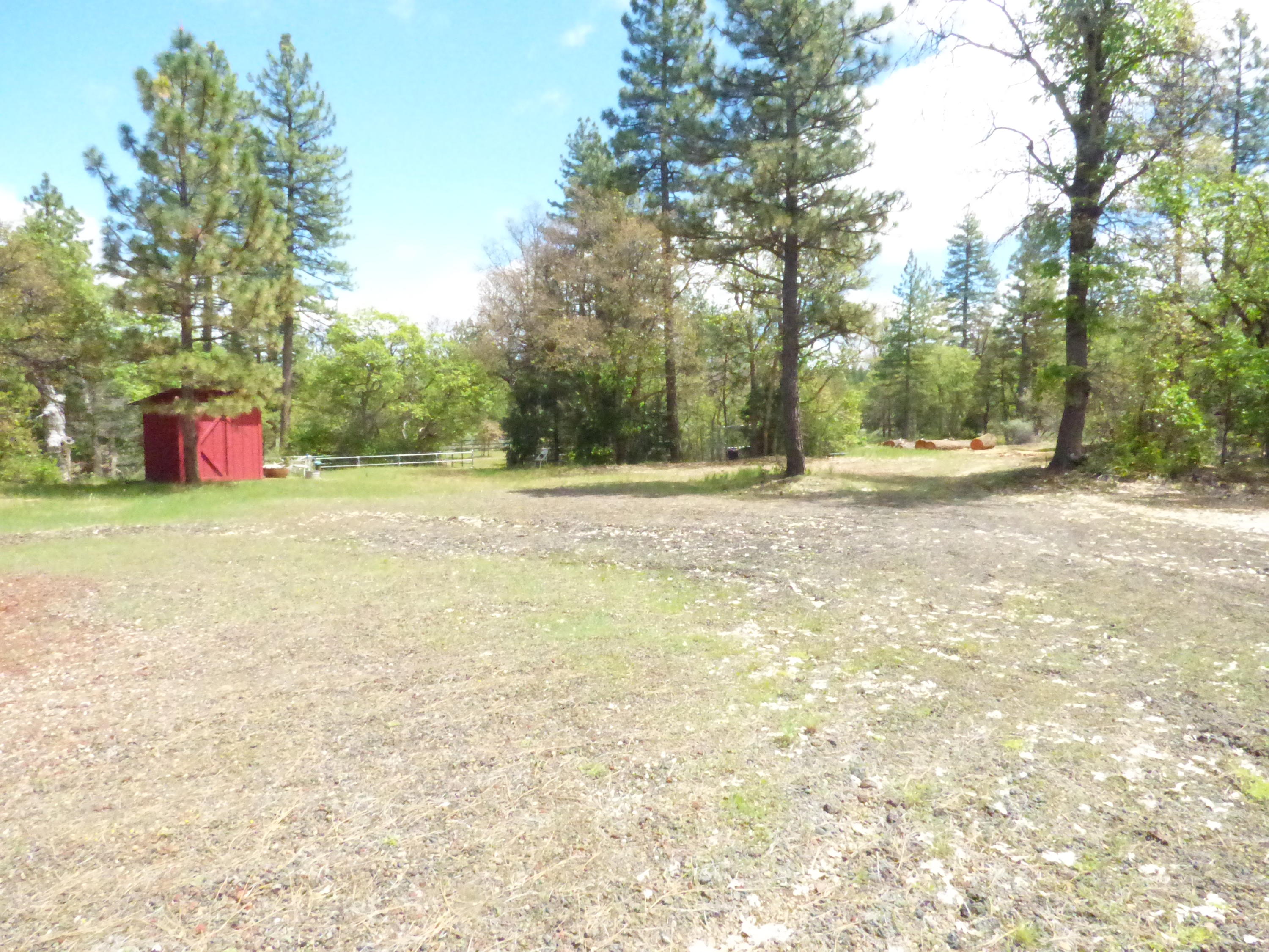 Hawkins Mill Road Fall River Mills, CA 96028 - Photo 2 of 12 a view of a field with trees in the background