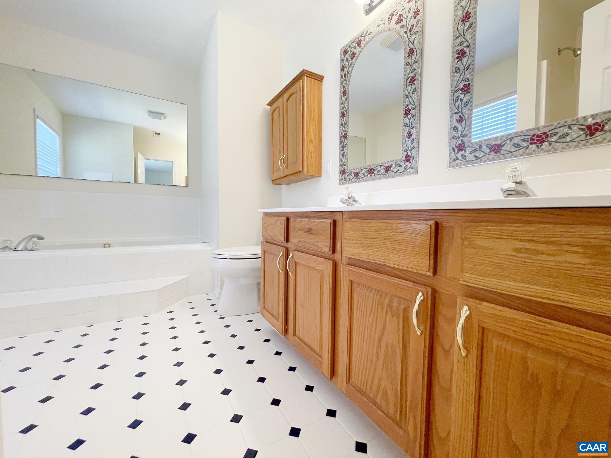 216 Rudolph Street Ruckersville, VA 22968 - Photo 19 of 39 a bathroom with a sink a toilet and a mirror