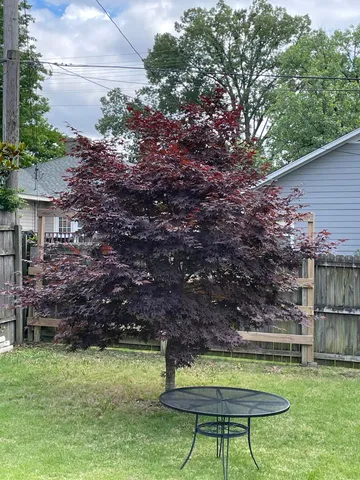 $315,000 | 2179 Elzey Avenue, Memphis, TN 38104