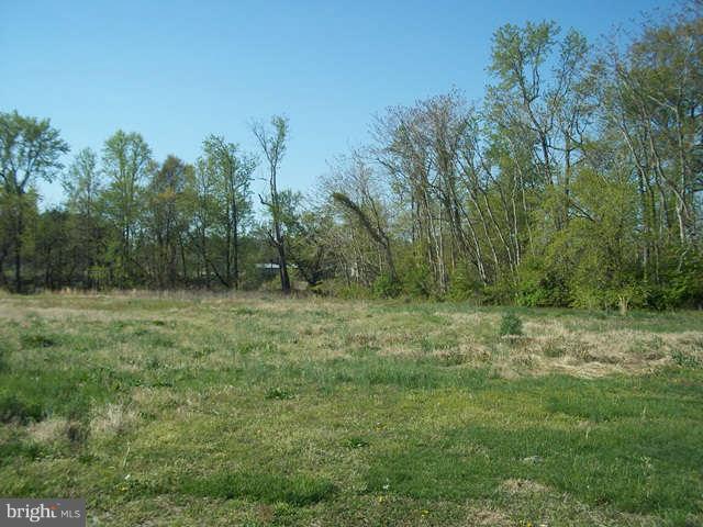 21019 Marsh Creek Road Preston, MD 21655 - Photo 10 of 11 View