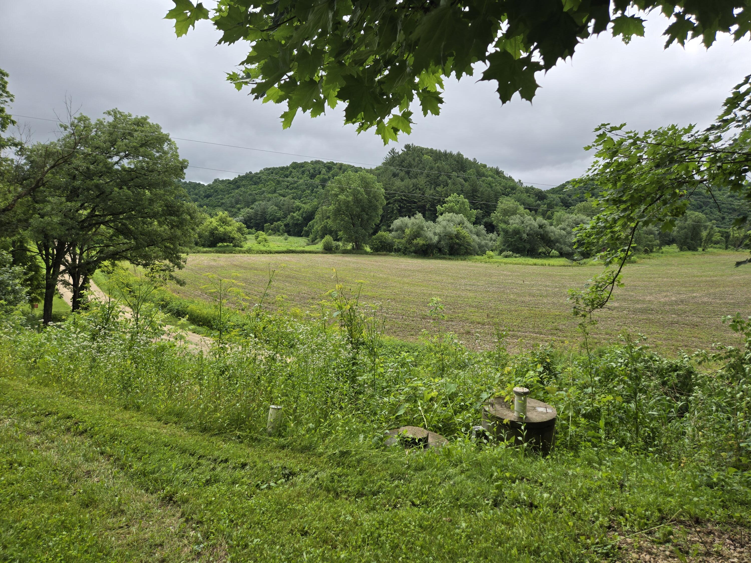 S6205 Sidie Hollow Road Viroqua, WI 54665 - Photo 6 of 22 Beautiful Views