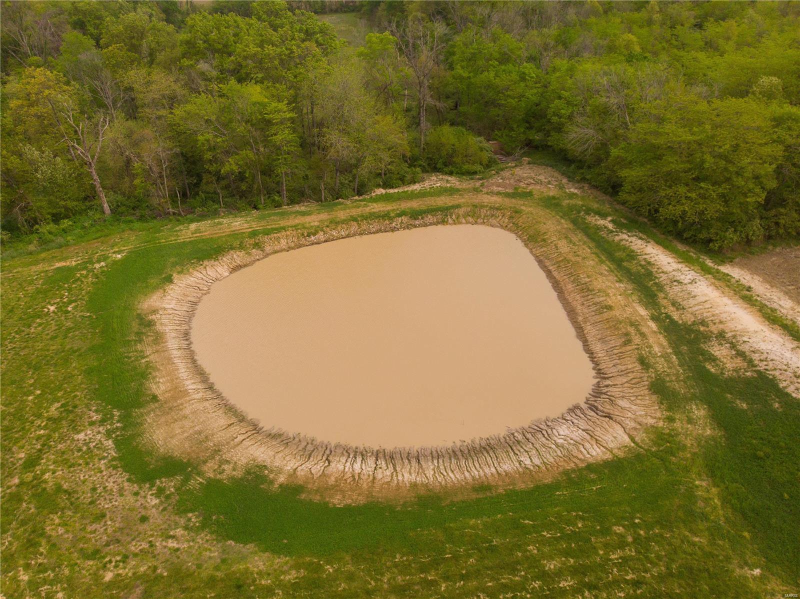 20006 Diamond Springs Road Carlyle, IL 62231 - Photo 11 of 15