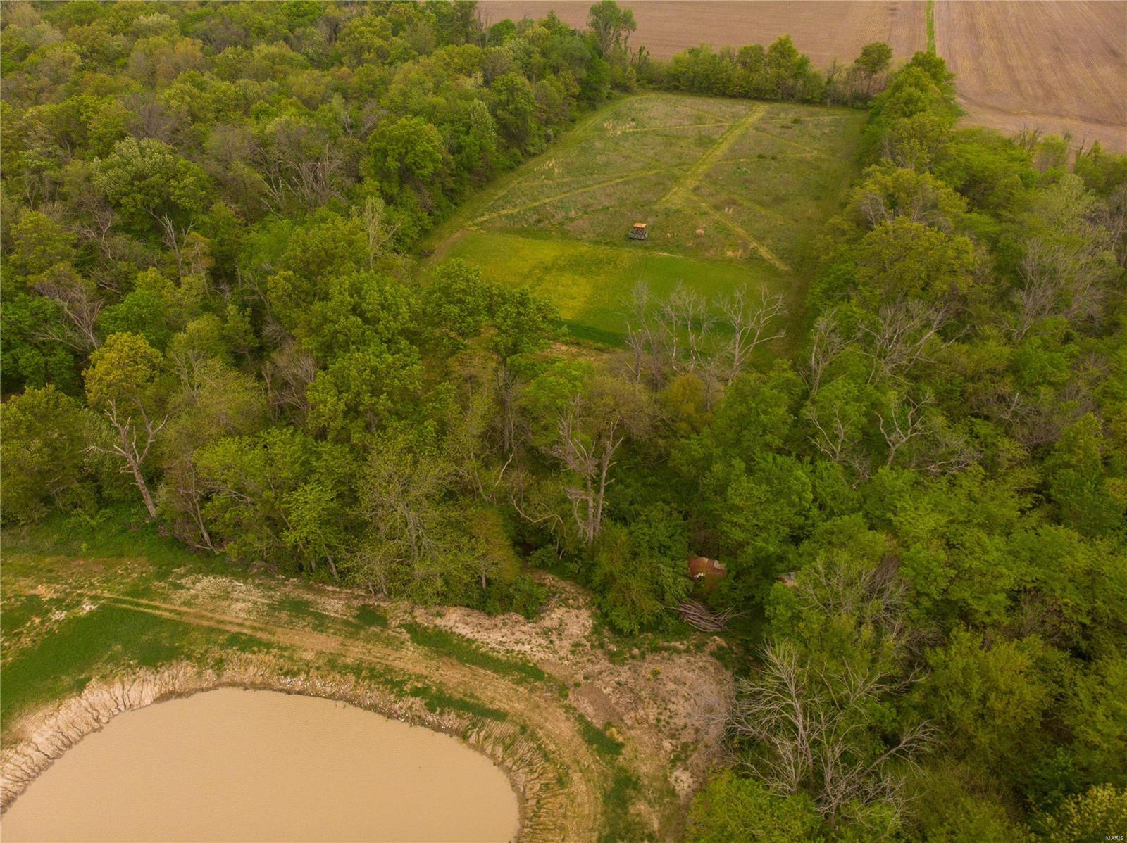 20006 Diamond Springs Road Carlyle, IL 62231 - Photo 12 of 15