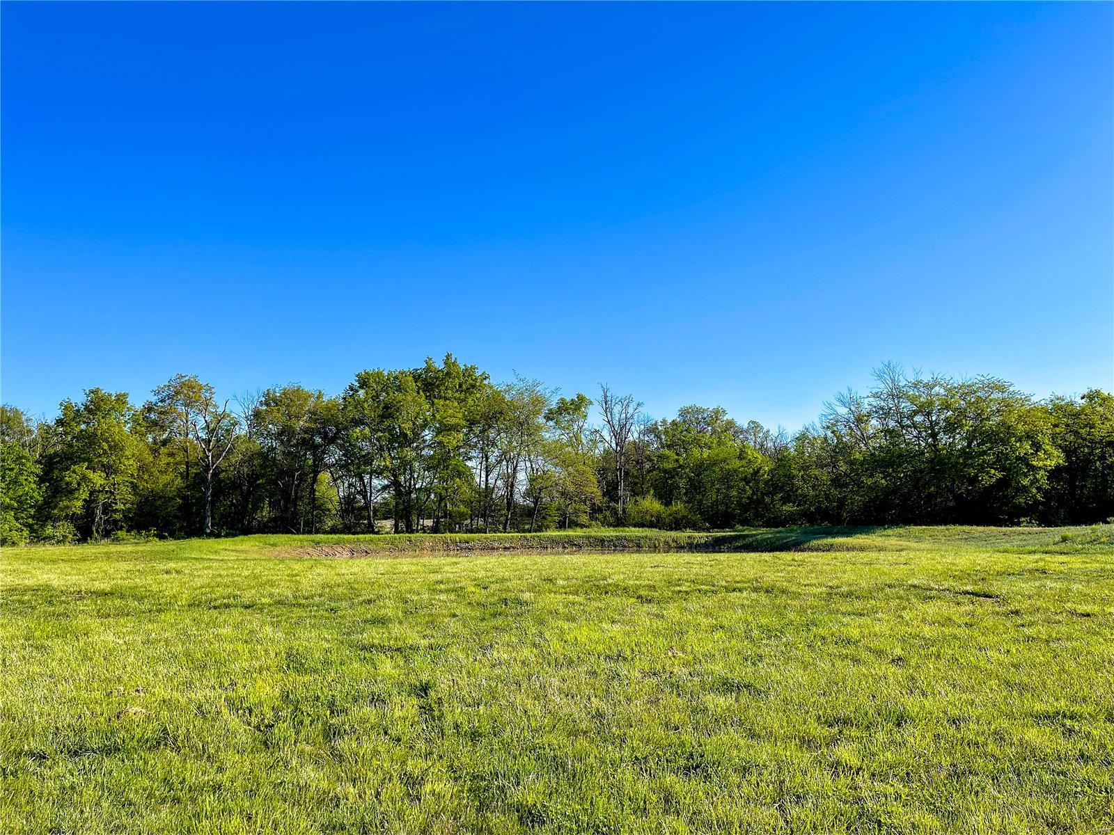 20006 Diamond Springs Road Carlyle, IL 62231 - Photo 7 of 15